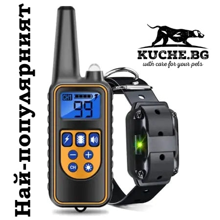 Електронен нашийник за обучение на куче